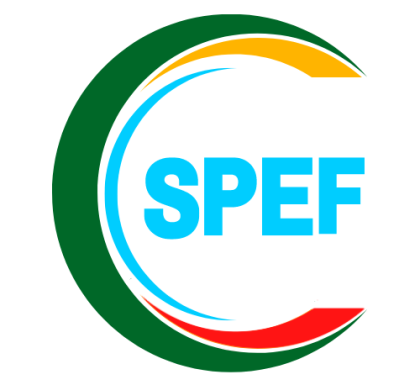 Logo_CSPEF-vf.20221213 (2)